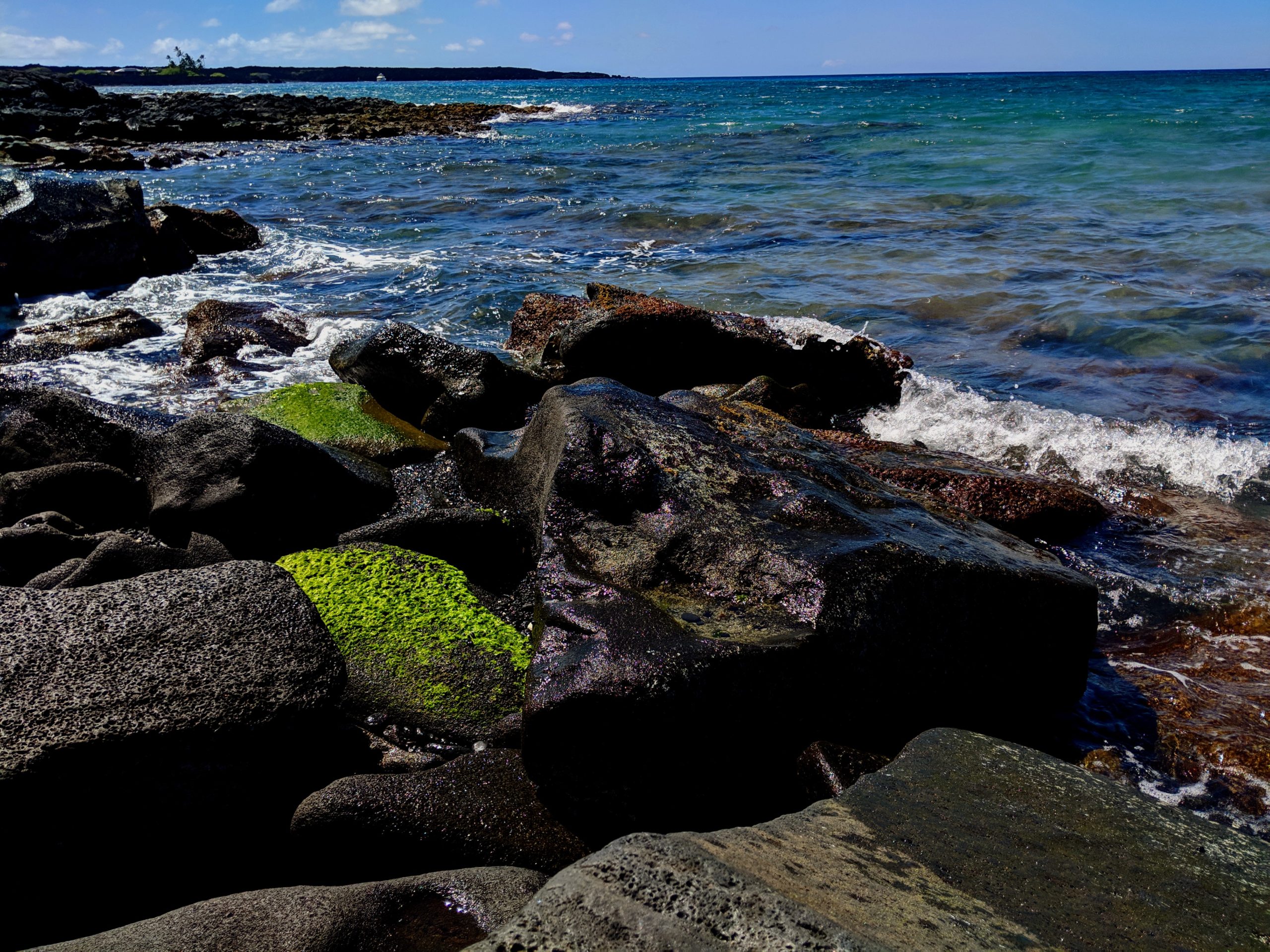 Hawai’i Island Spring 2019