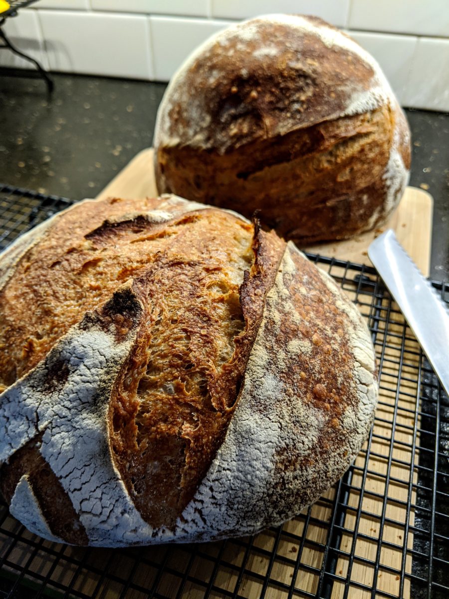 Two boules of sourdough bread on the counter